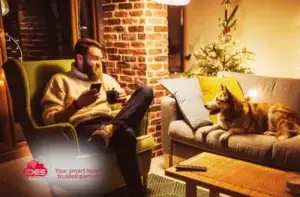 man on chair with smartphone and hot drink smiling at dog on couch with christmas tree in background in warmly lit room - ides seasonal smart home automation